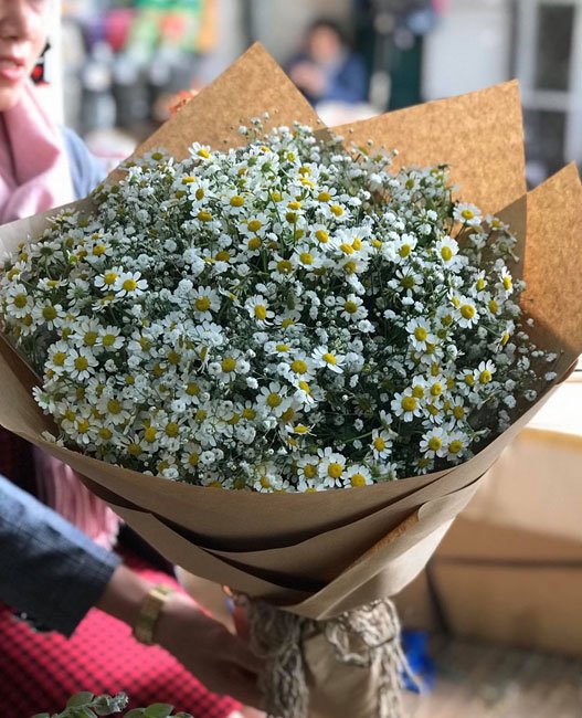 Mẫu hoa tươi cúc tana  - HTB012