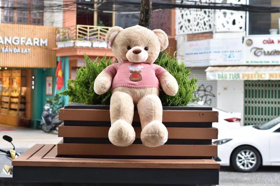 Mẫu gấu bông - MGB002