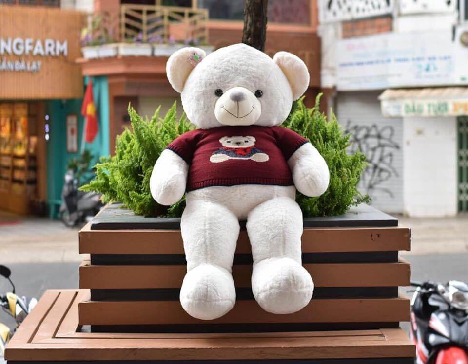 Mẫu gấu bông - MGB003