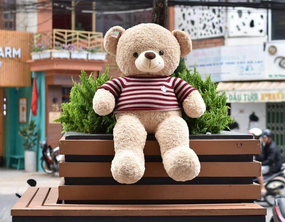 Mẫu gấu bông - MGB005